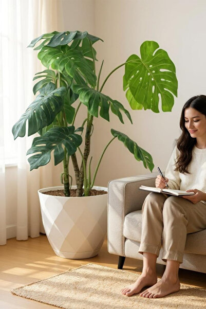 TEMMUZ HOME Büyük Boy Yakamoz Saksı 26 Litre İç ve Dış Mekan Saksı.