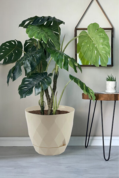 TEMMUZ HOME Büyük Boy Yakamoz Saksı 26 Litre İç ve Dış Mekan Saksı.