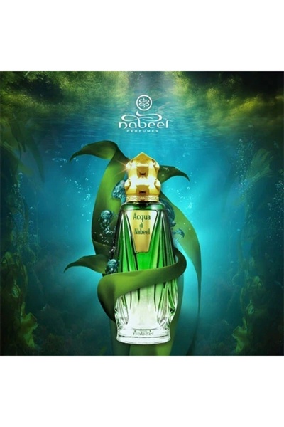 Nabeel Set Acqua Di Absolute Unisex, Eau de Parfum, 100 ml + Deodorant Spray, 100 ml