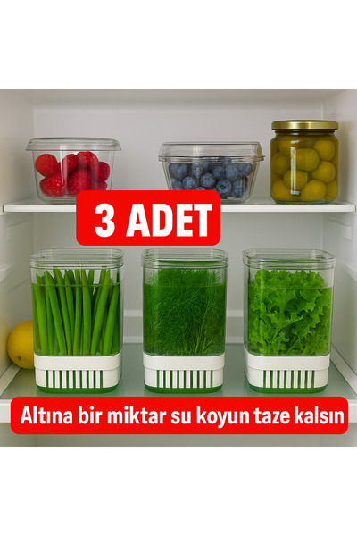 ViATOM 3-Piece Greenery Storage Container 2900ml – Vegetable and Herb Storage Container