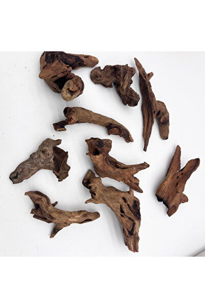 choice2 9 قطع 5-10 سم 3/6/9 قطع ديكور المناظر الطبيعية الصغيرة 5-10 سم فروع ا...