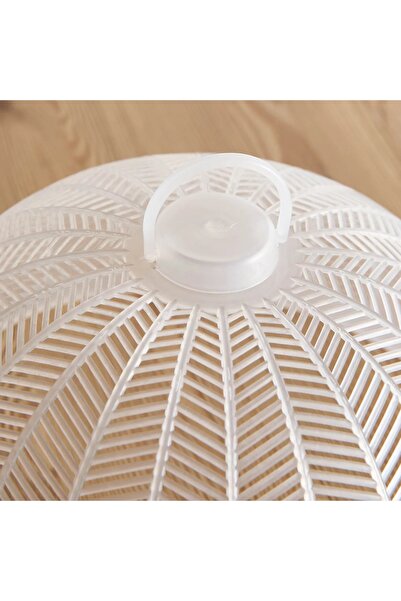 Generic Aisha Food Cover