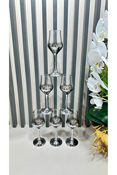 Vakıf home Paşabahçe Titanyum Gümüş Renk Kahve Yanı Su Bardağı