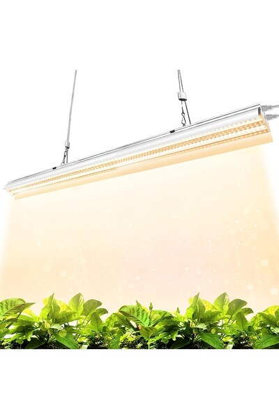 Bibilel Ηλιακό Φωτιστικό LED, Bibilel, Θερμό Λευκό, Λευκό