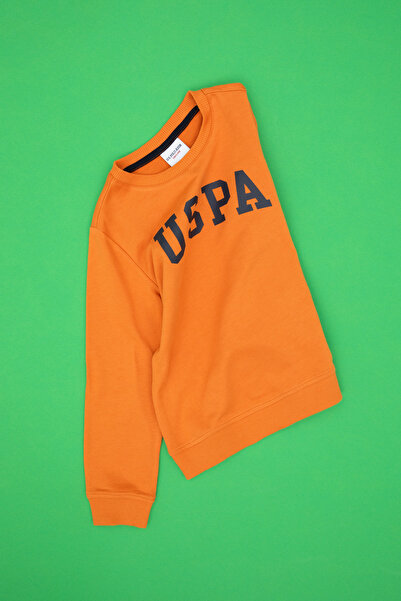 U.S. Polo Assn. Erkek Çocuk Bakır Basic Bisiklet Yaka Sweatshirt 50313830-VR182