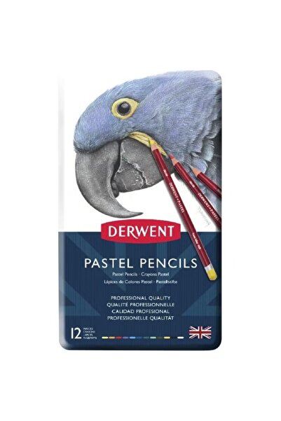 Derwent أقلام ألوان باستيل متنوعة 12 لونًا