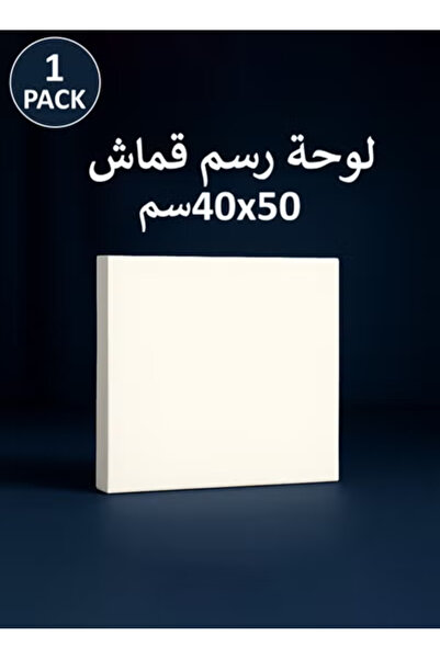 Taimi 50x40 cm Pre-Stretched Cotton Canvas – 1pcs for Acrylic & Oil Painting