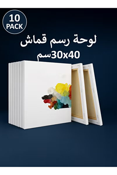 Taimi 40x30 cm Pre-Stretched Cotton Canvas – 10pcs for Acrylic & Oil Painting