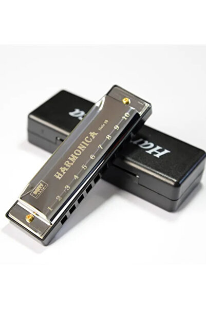 Choice3 Silver Harmonica Key of C 10 Hole Diatonic Harmonica C with Case for ...