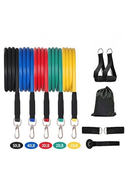 dalimag Set de extensii pentru antrenament, BFYC, 5 benzi elastice, multicolor