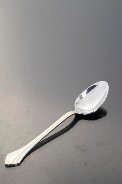 ALSAIF 76 Pieces, Stainless Steel Tableware Set with Case