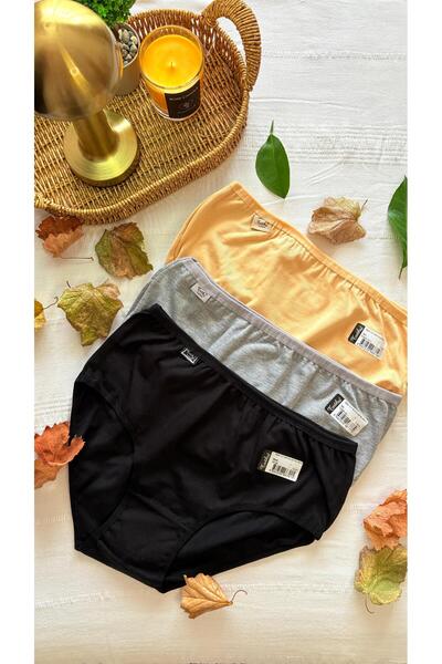 Tutku Kadın Elastan Likralı Bato Külot 3 ' lü Paket