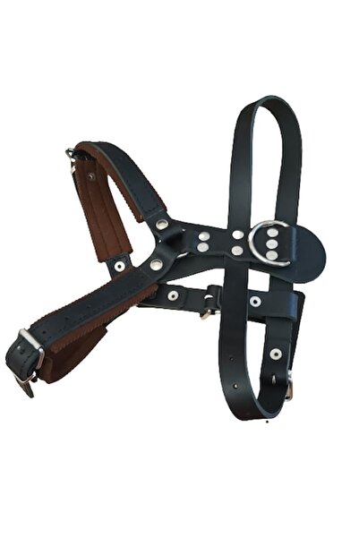 Raddog Ham Din Piele Mascul