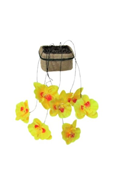 Lucille Craftshop Hanging Planter with Orchid, 38 cm