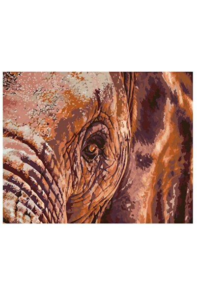 Painting by numbers Set pictura pe numere Ochiul elefantului, panza bumbac pe...