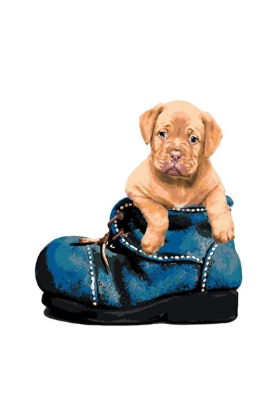 Painting by numbers Set pictura pe numere Catel in papuc, panza bumbac pe rama lemn, 90x120 cm, 3 pensule si vopsea