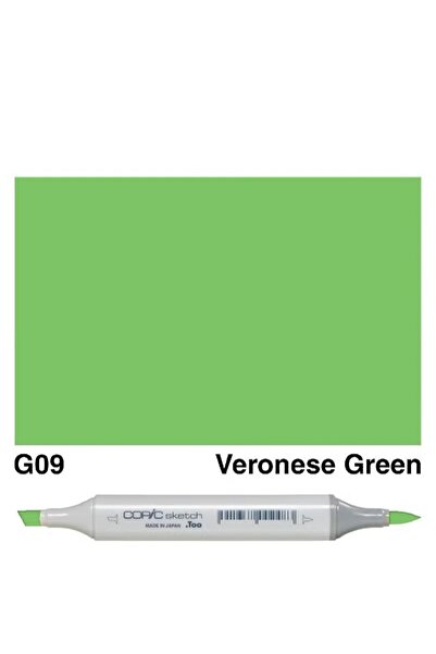 Copic قلم رسم جرافيكي G-09 ذو رأسين