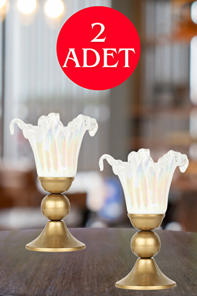 Begüsa Luniva 2 Adet Camlı Aksesuar Eskitme