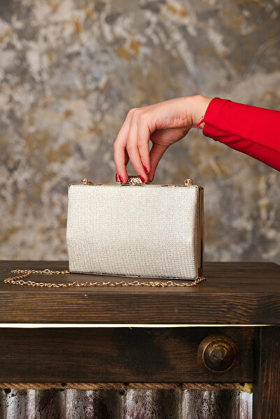 ROZA CANTA Women's Gold Silvery Evening Bag