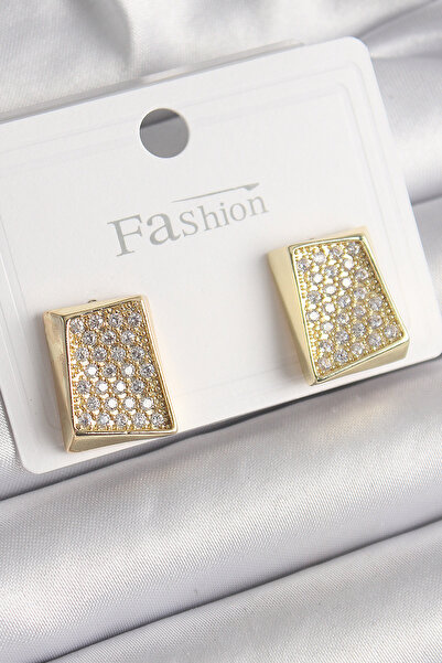 Lisinya Brass Gold Color Zircon Stone Plate Model Women's Earrings - Tygoo