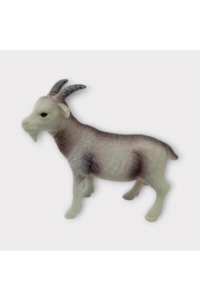 Genel Markalar Çiftlik Hayvanları - Keçi (Lisinya)