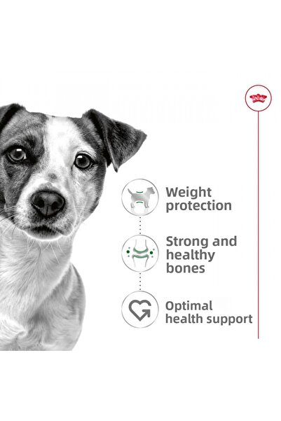 Royal Canin Dog Shn Mini Adult Dog Food 4 kg