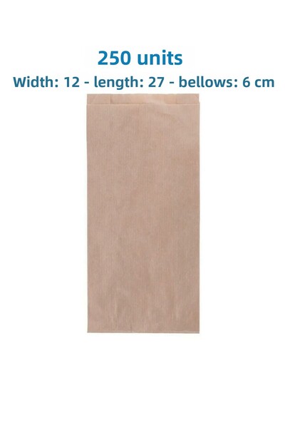 HDF PAZARLAMA 250 Medium Size Gift Paper Bags (12X27X6 Cm, Brown)