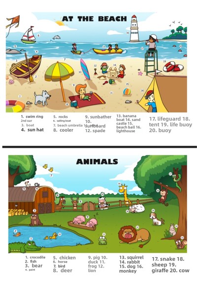 Enine Boyuna Eğitim English Educational Posters (Perforated – Laminated – A3 – 22 Pieces)