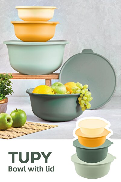 Vienev Set of 4 Sizes - Tupy with Lid and Colorful Bowl