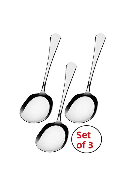 Tasarım Evi 3 Pieces Stainless Steel Serving Presentation Spoon 21 cm Metal Spoon