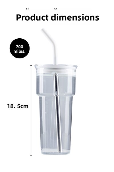 Nandy Home Borosilicate Glass Mug – with Stainless Steel Straw and Cleaner Gift, 700ml.