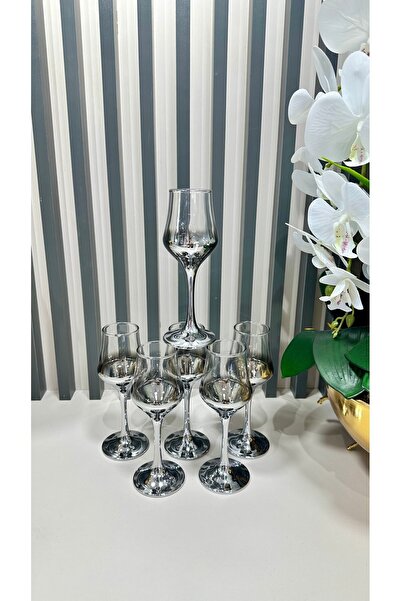 Vakıf home كوب ماء جانبي للقهوة من باشاباهتشي بلون فضي تيتانيوم