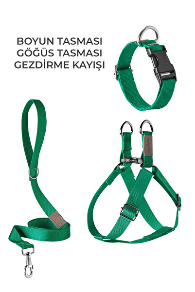 pasiole Dog Harness Walking Harness Neck Harness
