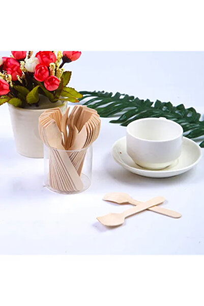 NETWORK ART 6 Pieces Wooden Ice Cream Spoon Square 95mm