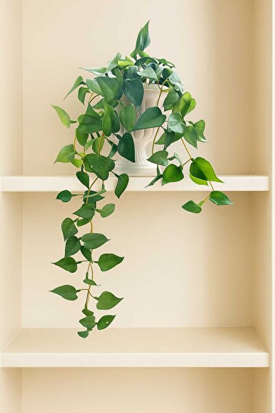 MAKİ DEKOR SAKSIDA ISLAK DOKU SARKIT YAPRAK 45 CM DEKORATİF BİTKİ