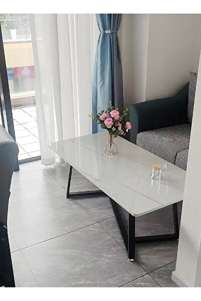 Raffine Modern Multifunction Nordic Design Rectangular Steel Frame Sofa Center Table
