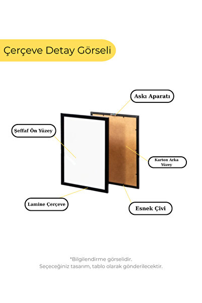 POSTEREN Lady Gaga Albümleri Çerçeveli Poster Tablo