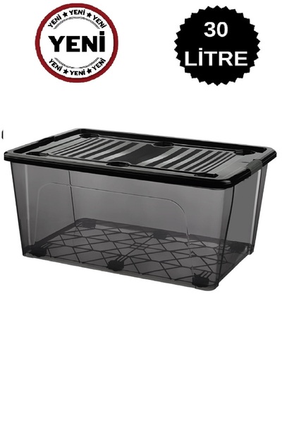 DEEMBRO 30 Lt Large Storage Box Storage Container 2 Color Options 36X 51.2 X 22.7 cm