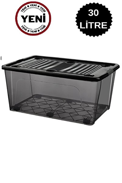 DEEMBRO 30 Lt Large Storage Box Storage Container 2 Color Options 36X 51.2 X 22.7 cm