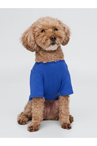 GAP Kadın Mavi Logo Pet T-Shirt