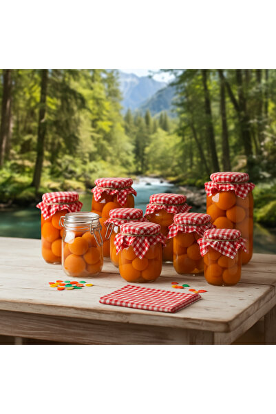 senmasy 30 Jar Lid Covers / Red Gingham and Colored Binding Rubber