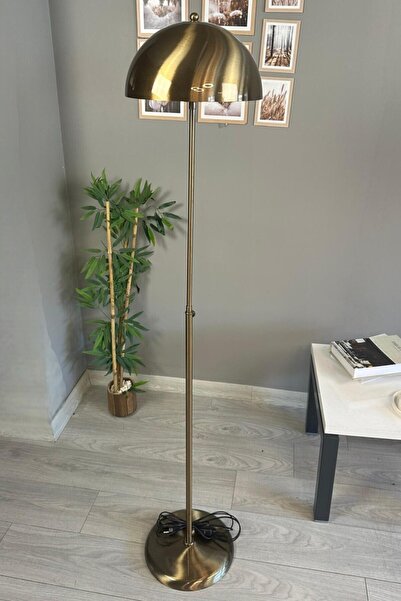 Bamyum Eskitme Lambader Modern Dekoratif Metal Oturma Odası Çalışma Odası Zemin Lambası 170 Cm Kablo