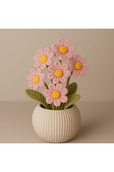 El örgüsü Saksıda Papatya el örgüsü - solmayan hediyelik çiçek