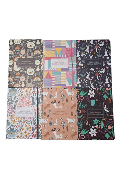 Lizy Agenda Academică Liz 17x24cm Hardcover (2025 septembrie-2026 decembrie)