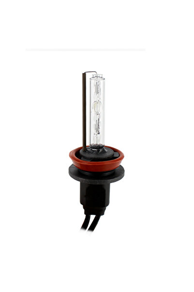 OEM Bec xenon H11-4.3K - CARGUARD