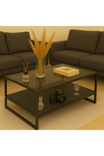 Home Lizbon Siyah Metal Koyu Antrasit Ahşap Füme Cam Orta Sehpa