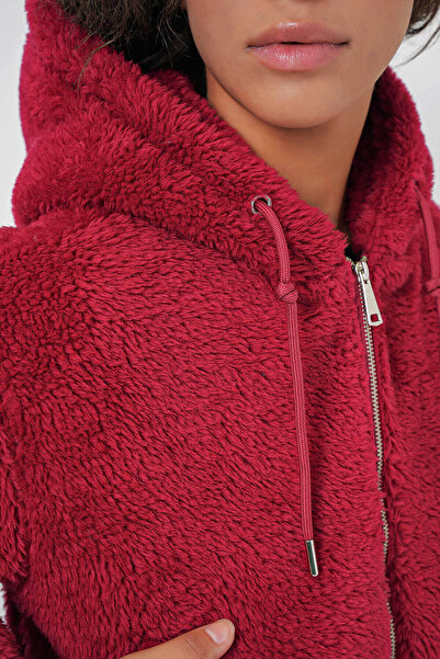 Bigdart Hooded Plush Crop Burgundy Women's Jacket 5193