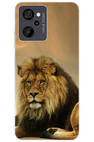 CASPER Via M40 / Via M45 Uyumlu Kılıf Desen Baskılı Silikon Kral Aslan STK:207 CP-grRIHzC