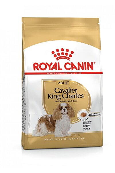 Royal Canin Cavalier King Charles Kuru Köpek Maması 3kg