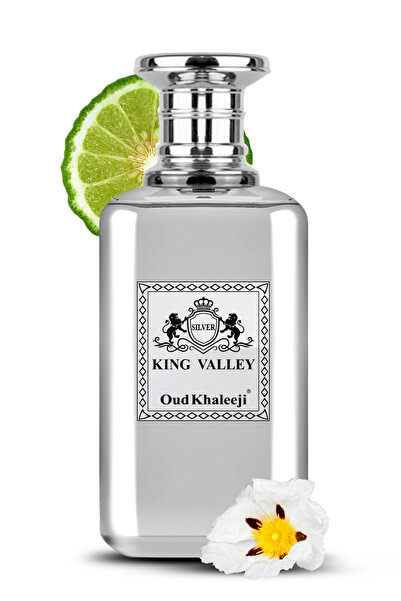 Oud Khaleeji King Valley Silver Eau De Parfum 100ML | Arabic Perfume for Men |